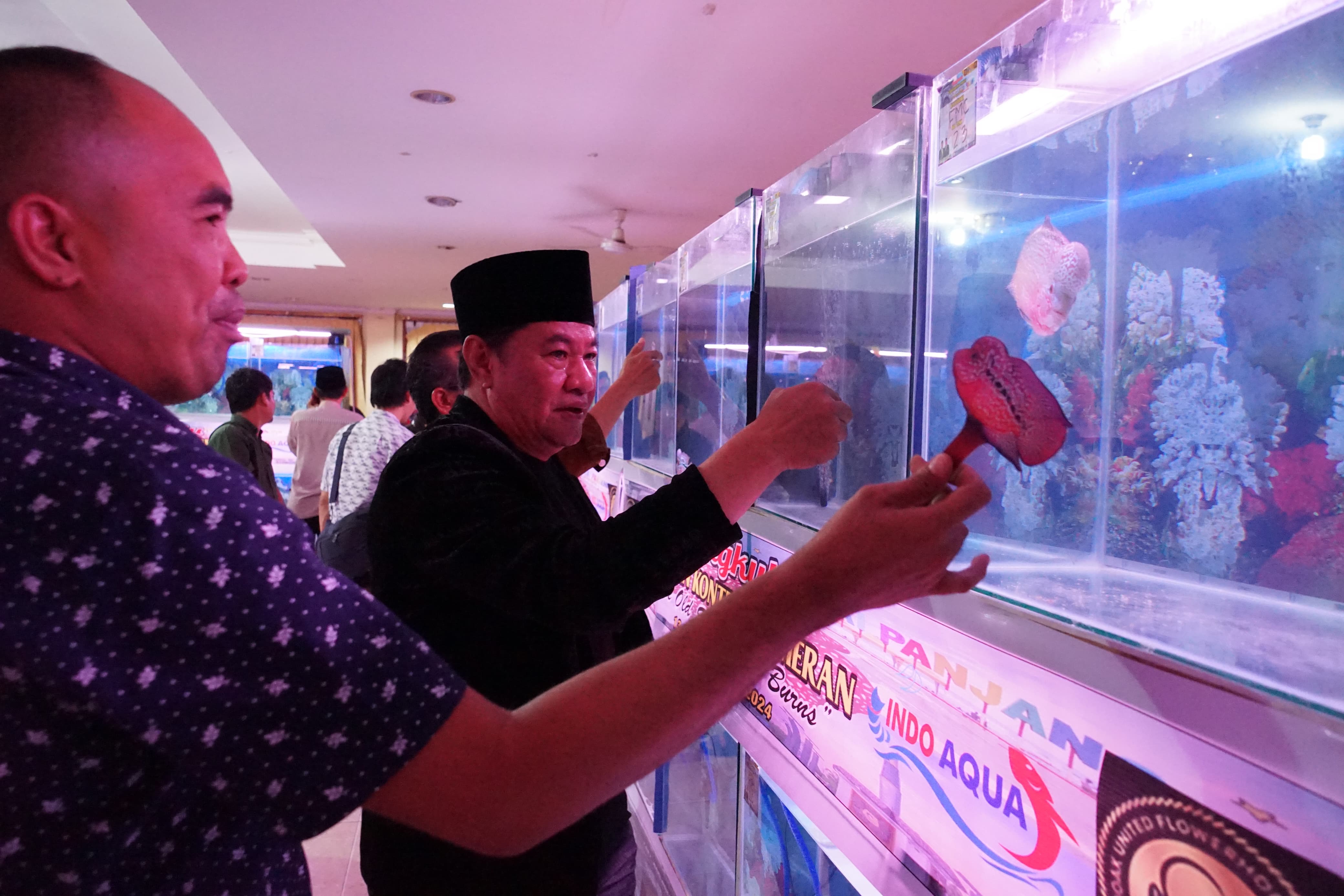 Bengkulu Louhan Kontes, Ajang Prestisius yang Diharapkan Dorong Ekonomi dan Kecintaan pada Ikan Hias