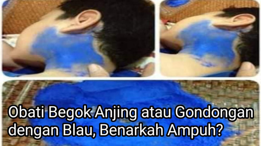 Mulai dari Diolesi Blau hingga Ditempel Nasi Hangat, Benarkah Cara Ini Bisa Sembuhkan Beguk Anjing?