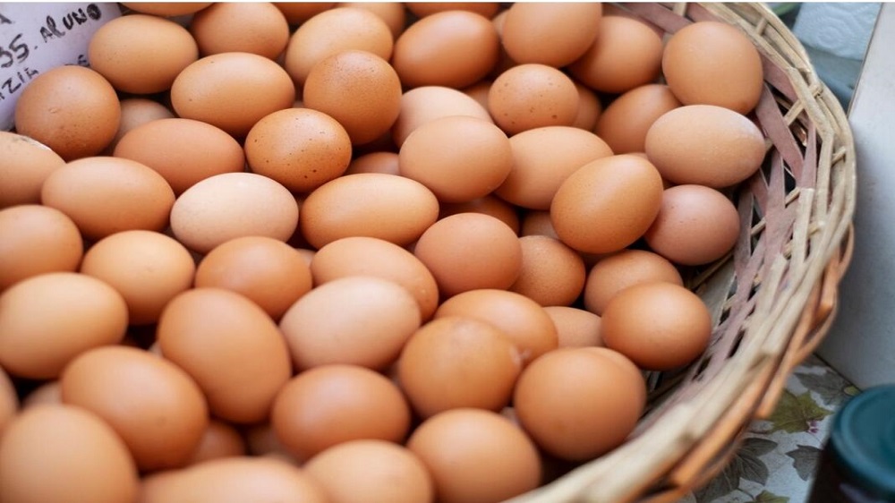 Panduan Praktis Memilih Telur Berkualitas dan Segar, Ini Dia 7 Tips Mudah!