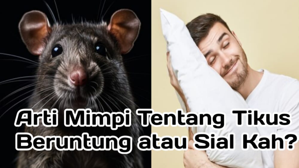 Sial atau Beruntung? Ini 9 Arti Mimpi Tentang Tikus yang Bukan Hanya Bunga Tidur