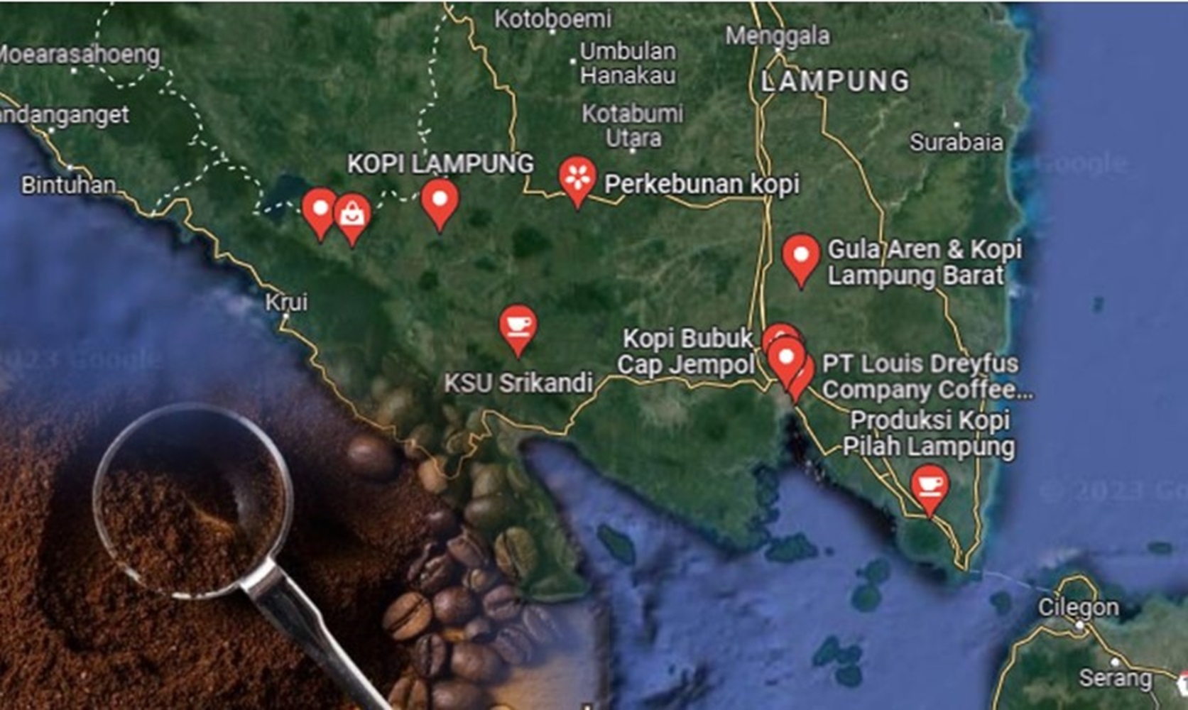Inilah Daerah Penghasil Kopi Terbaik di Indonesia, Ada Kopi Ijen, Kintamani dan Toraja