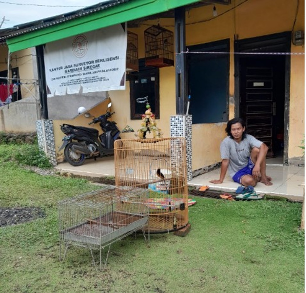 Murai Batu juga Mandi Lho, Perkenalkan Secara Bertahap, Harus Konsisten dan Rutin