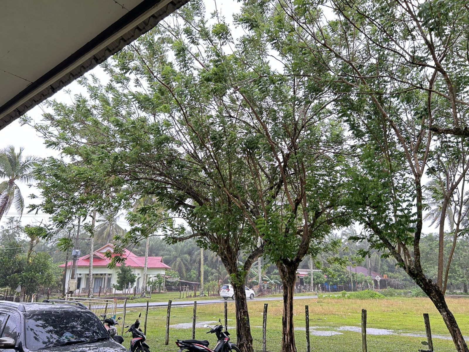 Waspada Cuaca Ekstrem! BPBD Mukomuko Imbau Masyarakat Siaga Banjir, Longsor dan Angin Kencang