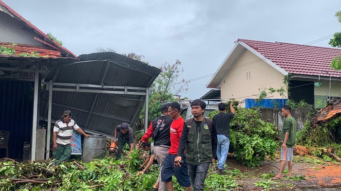 Hujan Deras Subuh, Pohon Mahoni Roboh Timpa Usaha Warga dan Tutup Jalan di Nusa Indah