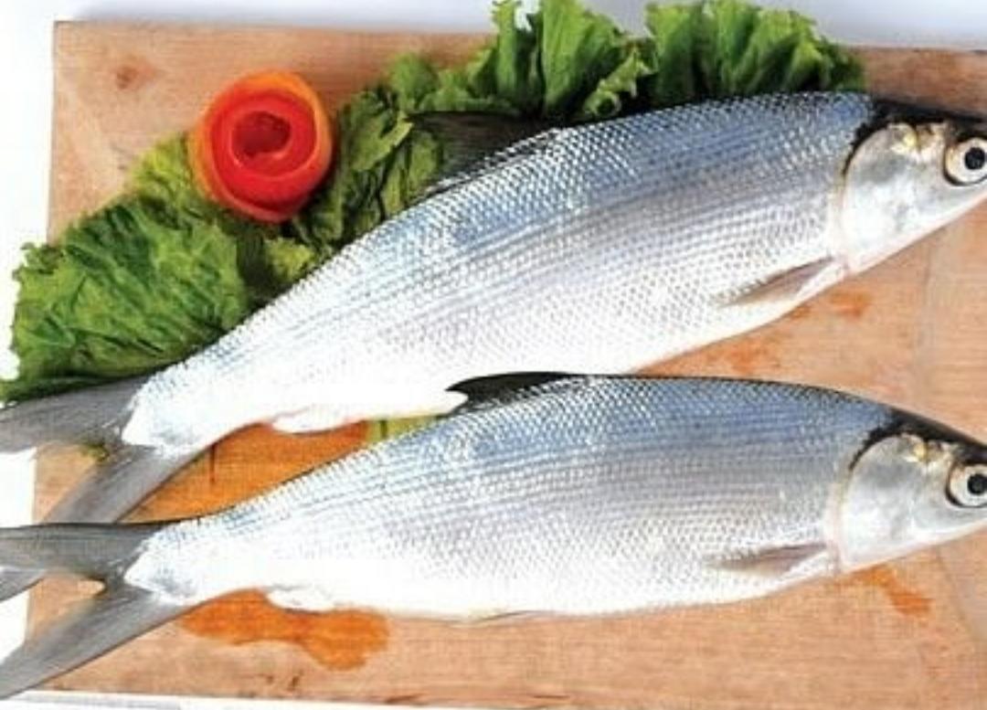 7 Manfaat Ikan Bandeng untuk Kesehatan, Salah Satunya Merawat Tulang dan Gigi