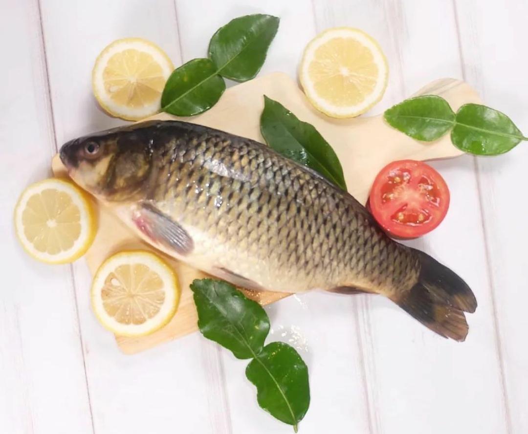 Tak Cuma Meningkatkan Imunitas Tubuh, Ternyata Ini 11 Manfaat Ikan Mas untuk Kesehatan yang Jarang Diketahui