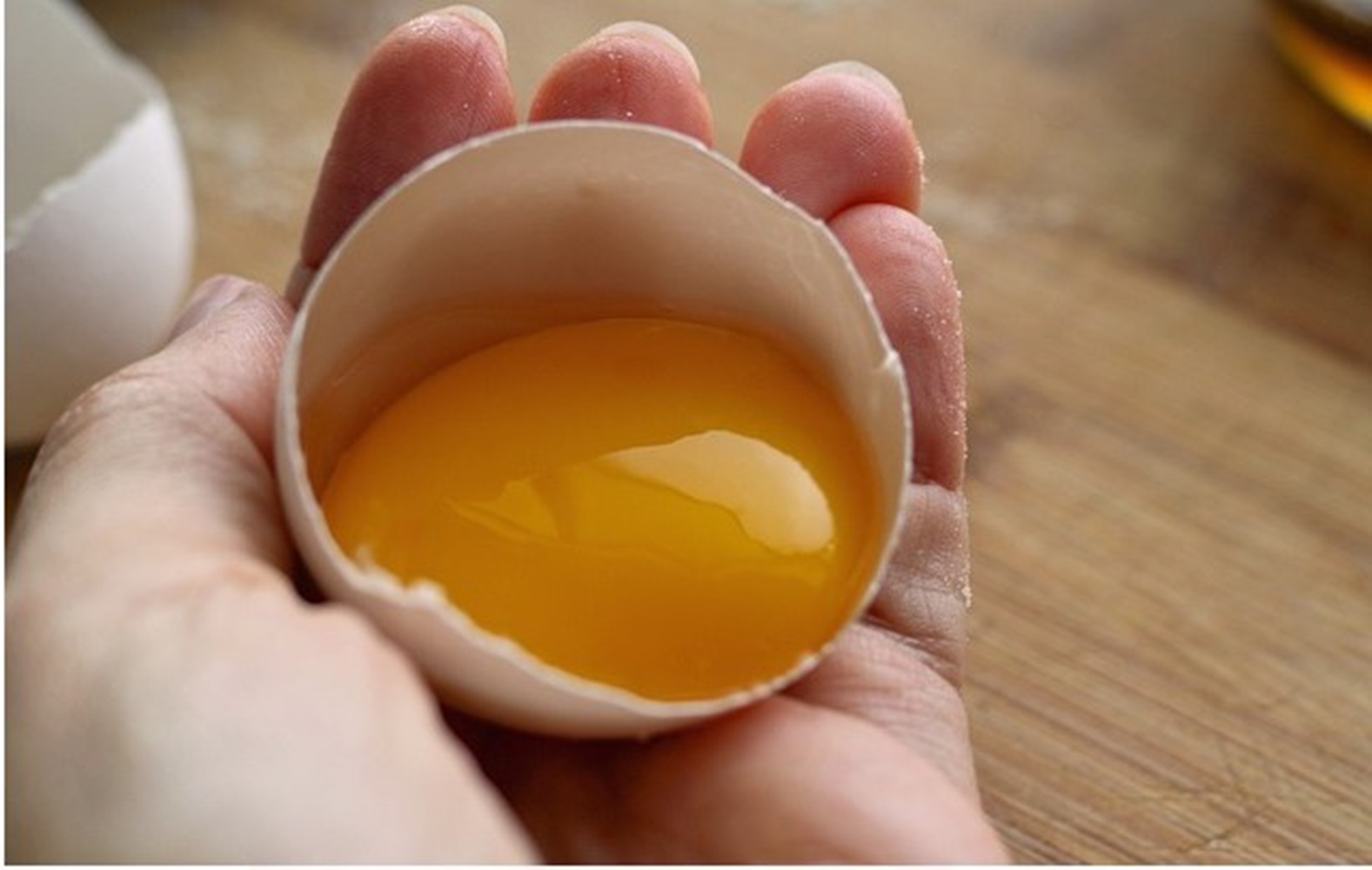 Kuning Telur Bantu Jaga Kesehatan Gigi, Juga Bisa Perbaiki Jaringan Tubuh yang Rusak