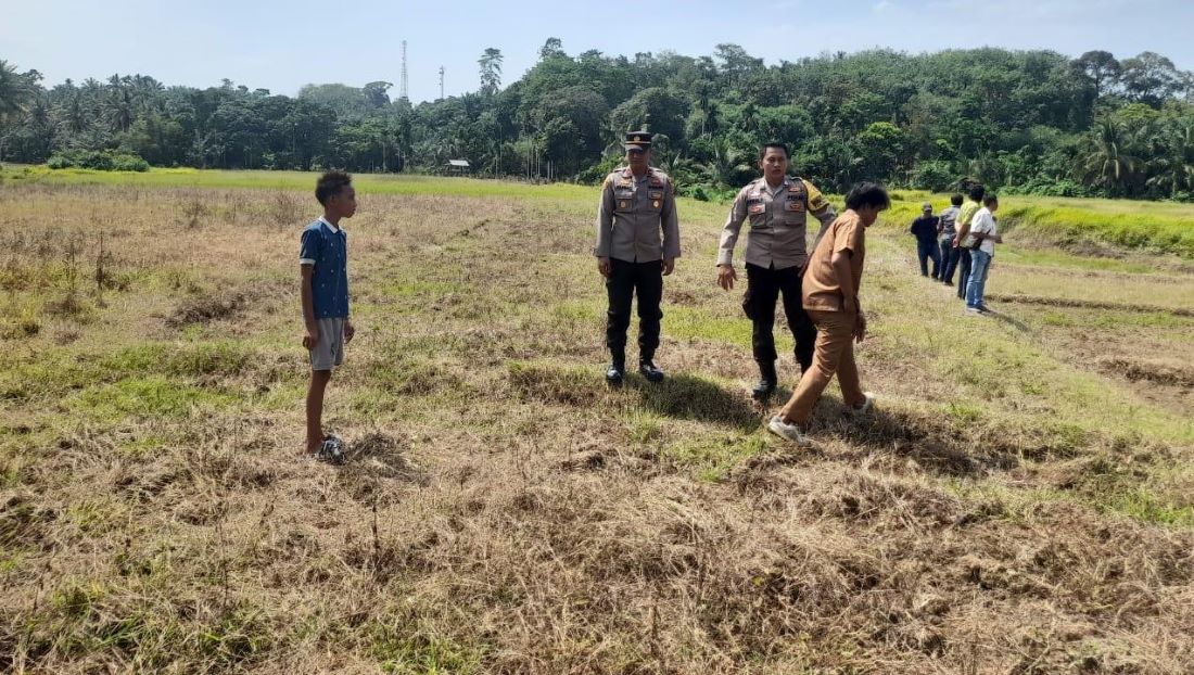 Penampakan Harimau Sumatera Gegerkan Warga Desa Linau, Waspada Tetap Ditekankan