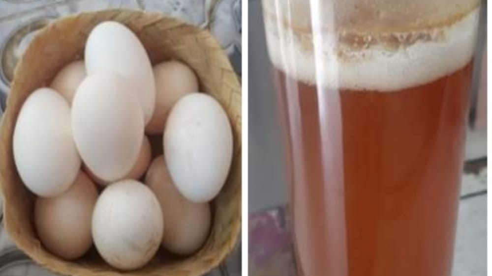 Apa Manfaat Telur Ayam Kampung Dicampur Madu? Ini Dia 6 Manfaatnya
