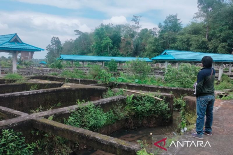 42 Kolam Terbengkalai di Rejang Lebong Disiapkan Jadi Pilot Project Dongkrak PAD