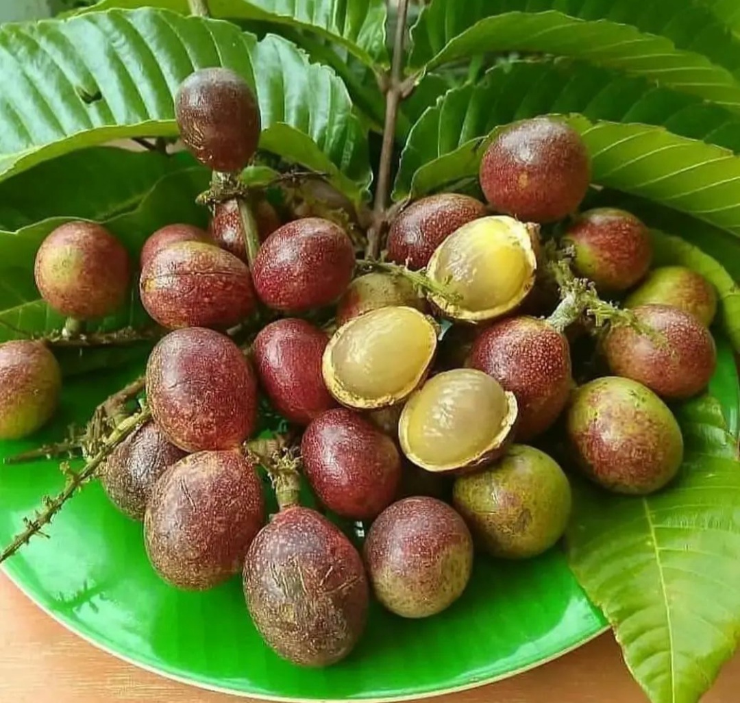 10 Manfaat Menakjubkan Buah Matoa, Sumber Kesehatan yang Kaya Nutrisi