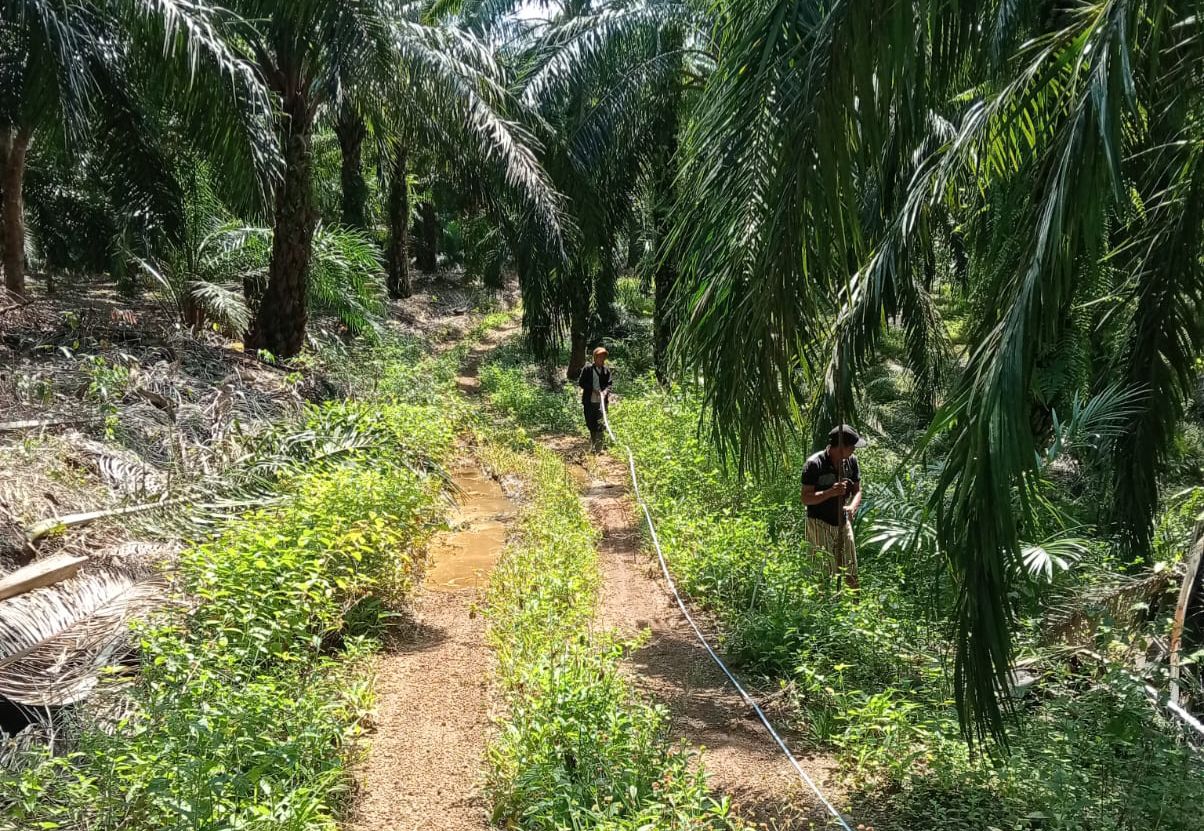 Pemdes Sungai Lintang Gelar Survei Rencana Pembangunan Tahun 2026, Dua Infrastruktur Fisik Jadi Prioritas