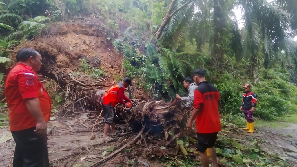 142 Relawan Bencana Akan Kembali Bertugas di Bengkulu Selatan, Fokus Antisipasi Banjir dan Longsor