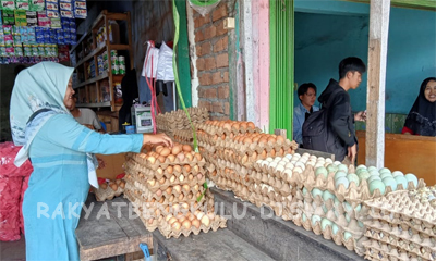 Harga Telur dan Ayam Ras Naik  