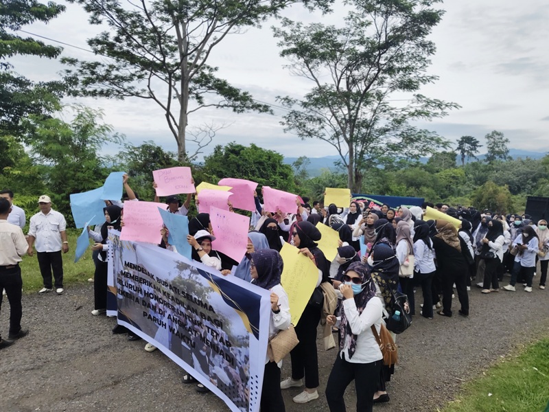 Gelar Aksi di Kantor Bupati, Ratusan Non-ASN Seluma Tuntut Keadilan Status Kerja