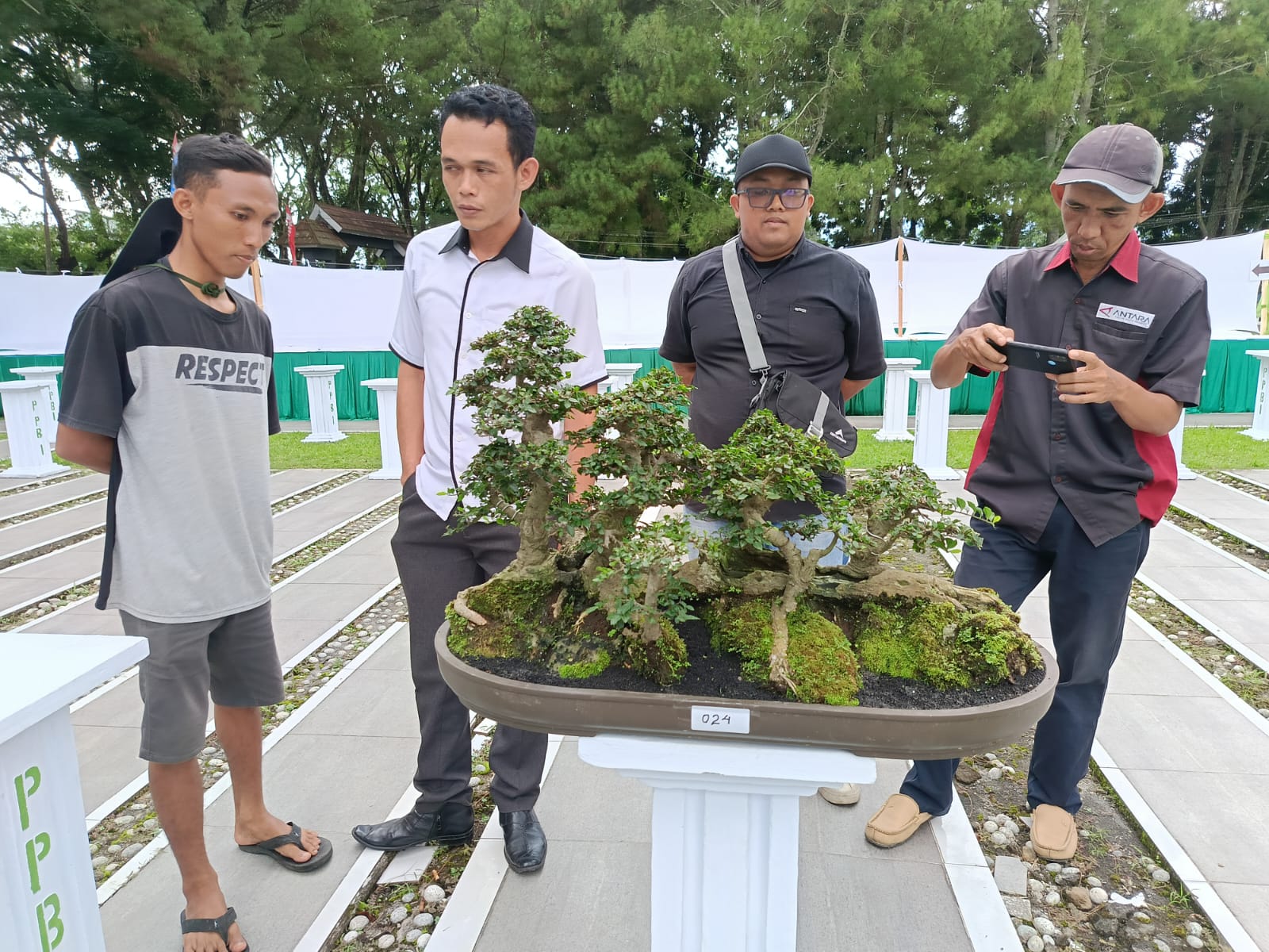 Pameran Bonsai HUT Kota Curup, Pencinta dari Kota Lubuklinggau hingga Bengkulu Ambil Bagian