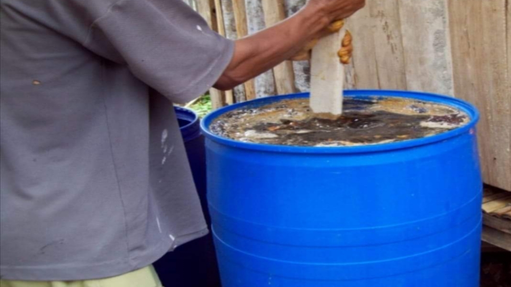 Cara Pembuatan Pupuk Organik Cair dari Limbah Kotoran Sapi untuk Tanaman Kelapa Sawit