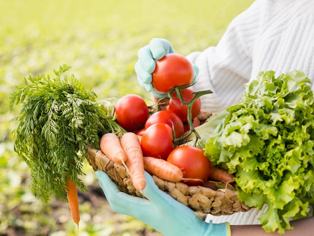 Kenali 4 Fakta Makanan Organik, Sebelum Menjadikannya Pola Hidup Sehat 