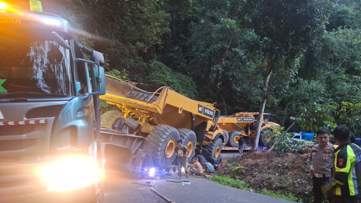 Truk Trailer Pembawa Alat Berat Terperosok di Jalan Lintas Kepahiang-Bengkulu, Akses Jalan Lumpuh