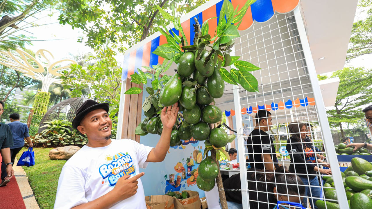 Berkat Program Pemberdayaan BRI Klasterku Hidupku, Petani Ini Berhasil Kembangkan Budidaya Alpukat