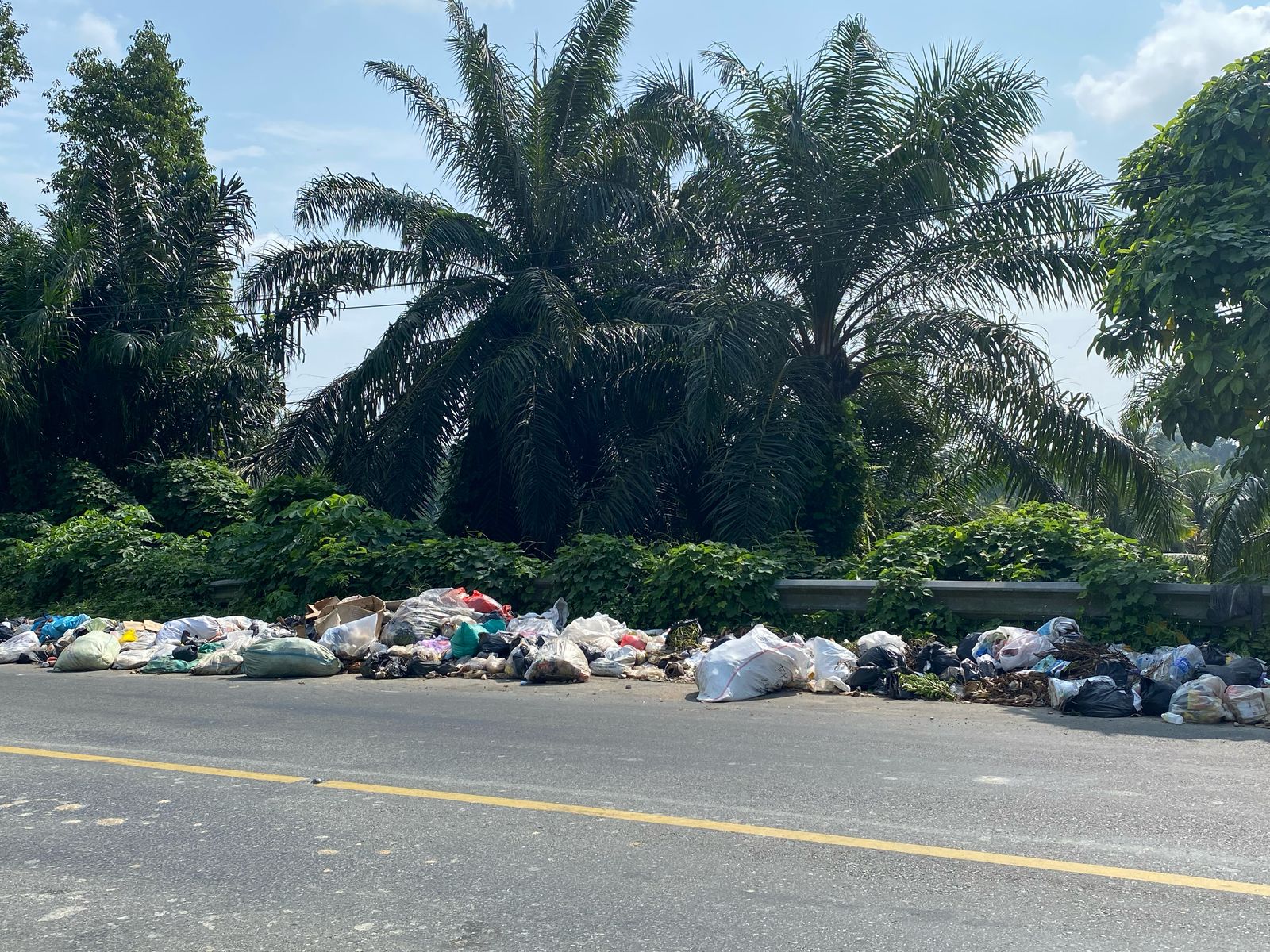 Sampah Tebing Lubuk Manau Membludak, DLHK Bengkulu Selatan Minta Kesadaran Masyarakat