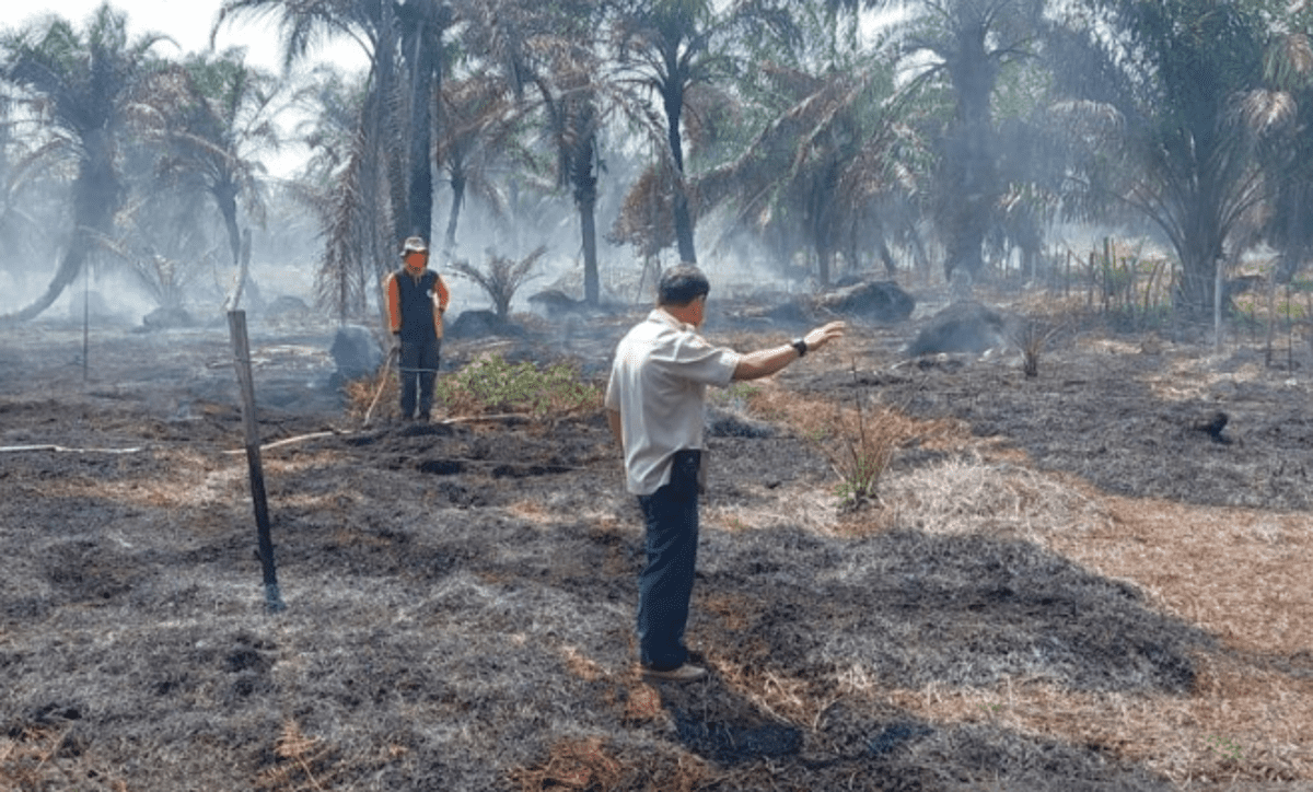 Cuaca Sangat Panas di Bengkulu Capai 32 Derajat Celsius, Warga Diimbau Waspada Bakar Sampah