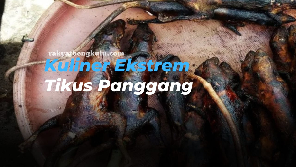 Kuliner Ekstrem Indonesia: Nikmatnya Kuliner Khas Minahasa, Tikus Panggang yang Unik