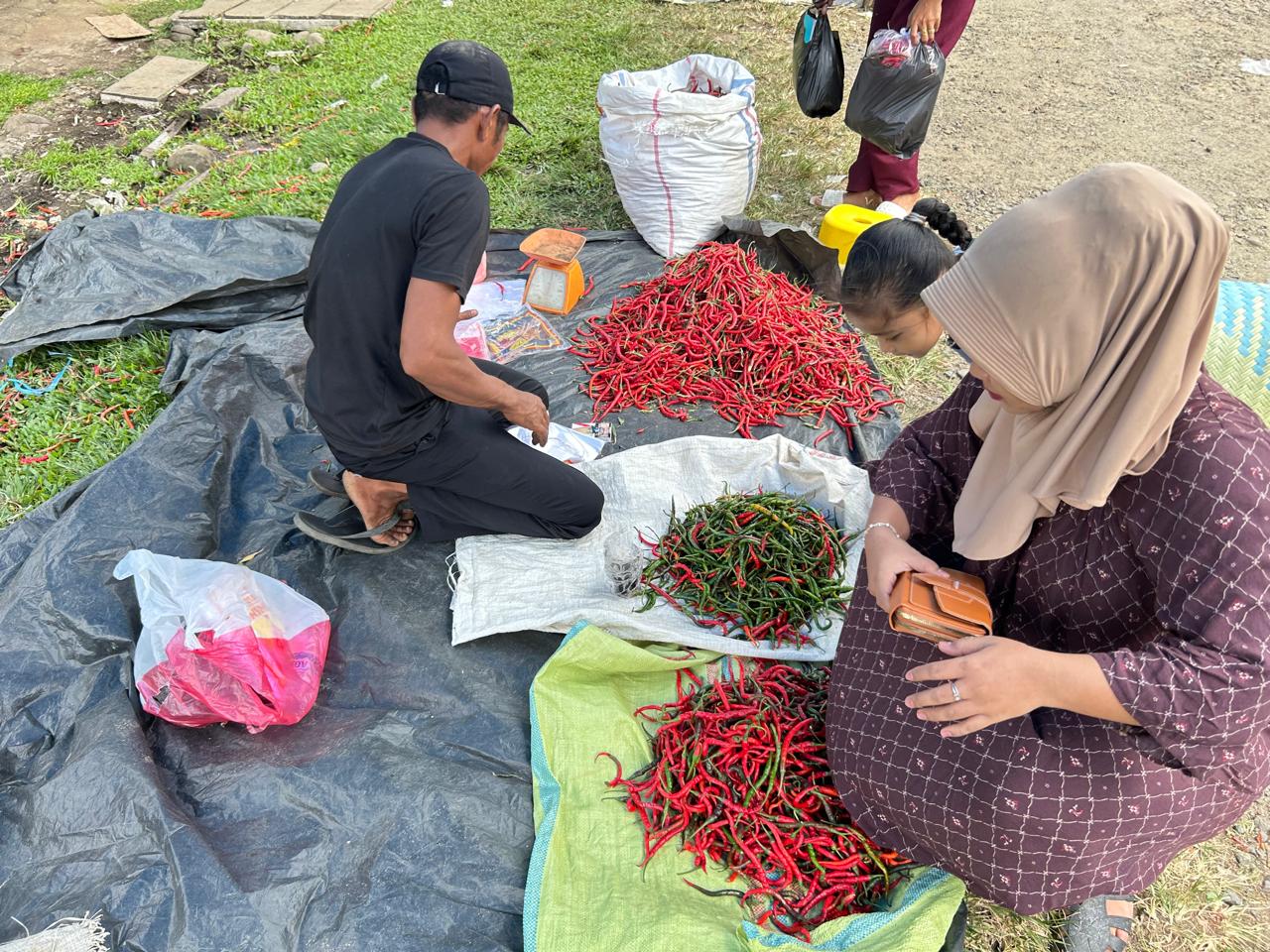 Update Harga dan Ketersediaan Bahan Pokok di Mukomuko: Harga Cabai Merah Terus Naik
