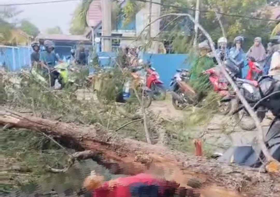 Pohon Tumbang Tewaskan Pengendara Motor Saat Melintas di Pantai Panjang, Begini Kronologisnya