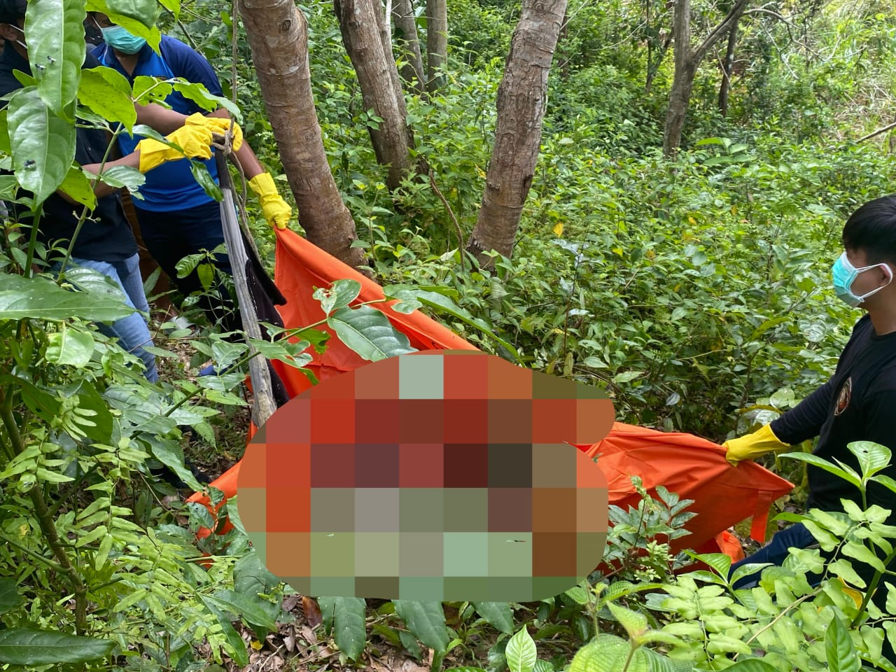 Diduga Pelaku Penganiayaan, Pria di Bengkulu Ditemukan Tak Bernyawa di Pohon Jengkol