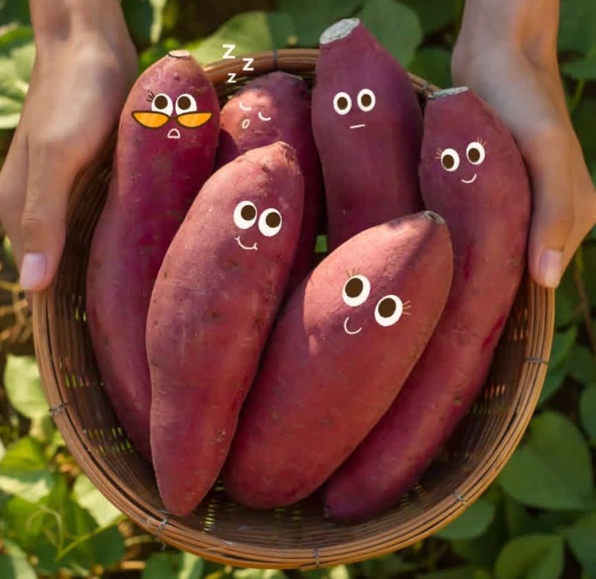 Jangan Sepelekan, Ini Manfaat Makanan Ubi untuk Tumbuh Kembang Anak