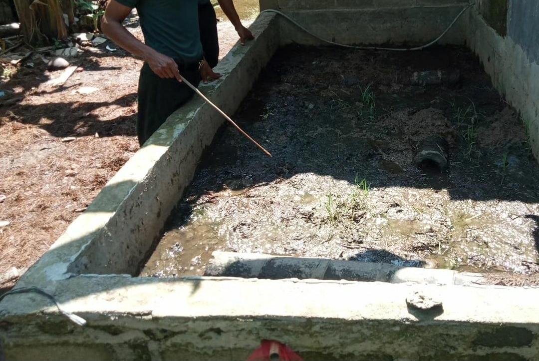 7 Cara Budidaya Belut di Kolam Beton Supaya Hasil Maksimal dan Panen Berlimpah