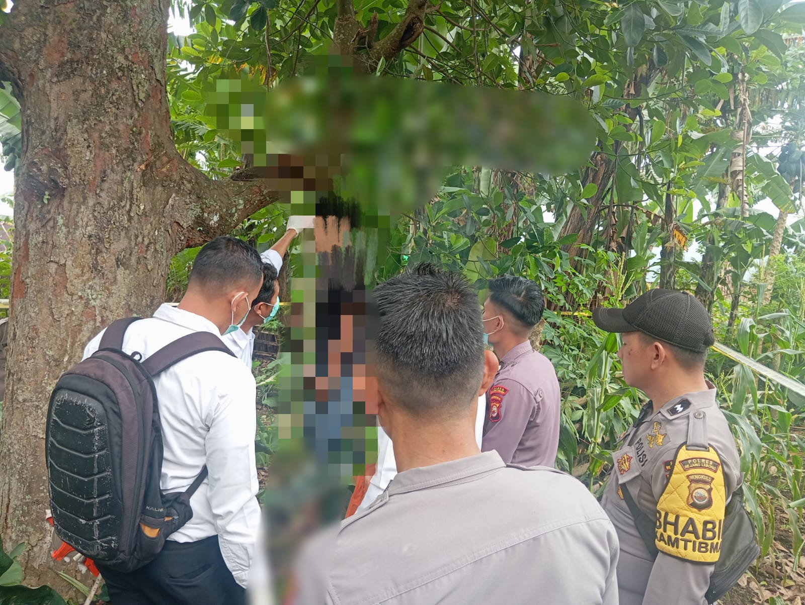 Geger! Pria Ditemukan Tak Bernyawa di Perkebunan Rejang Lebong, Diduga Terlilit Utang Judi Online
