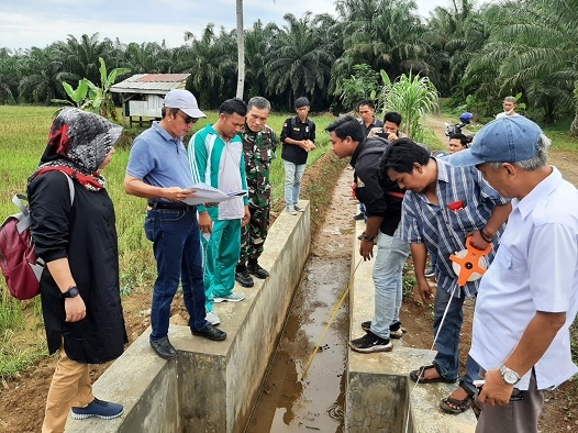 Dinas TPHP Provinsi Tinjau Progres Optimasi Lahan Sawah 