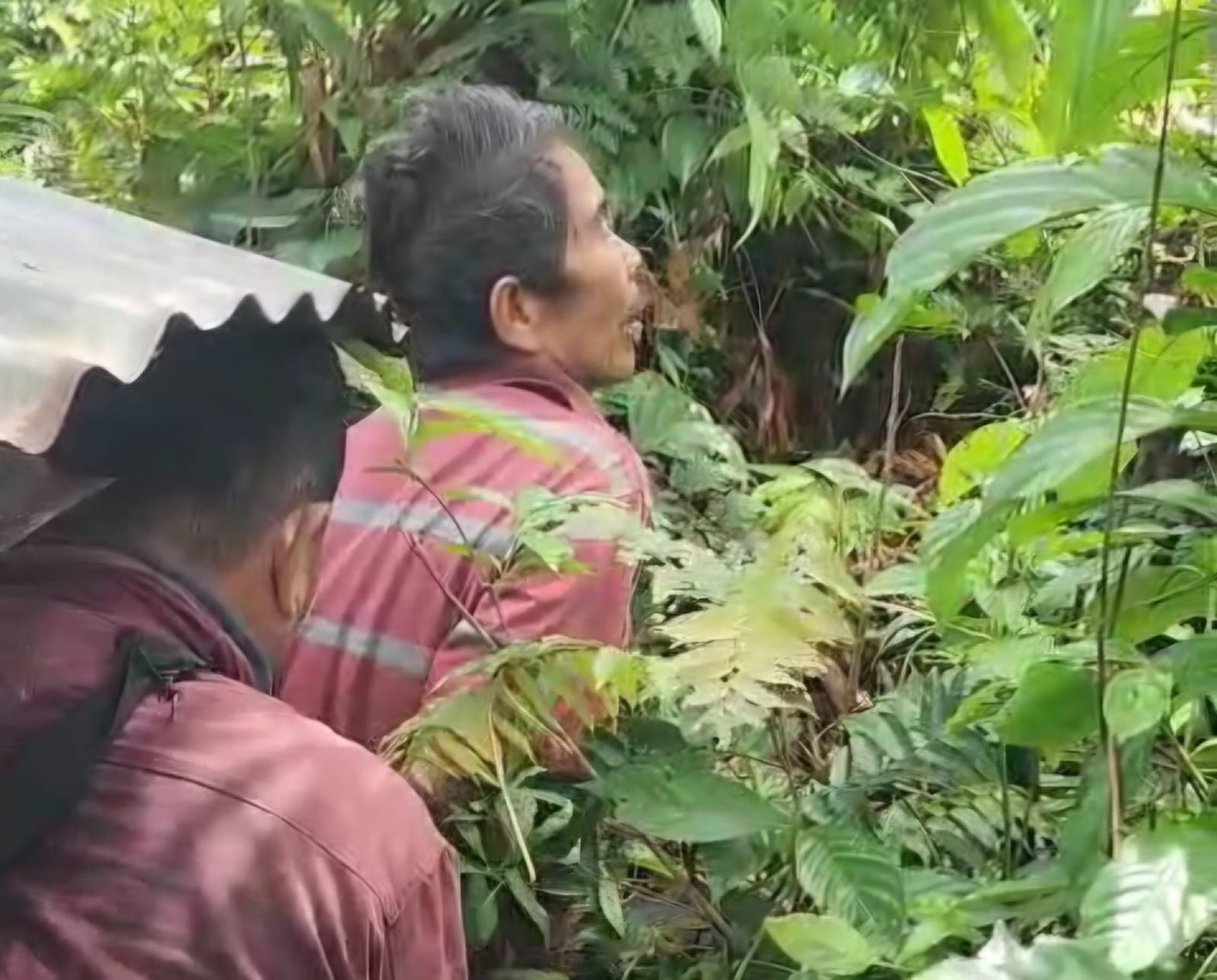 Sembunyi di Perkebunan, Pelaku Pembunuhan Anak Tiri di Bengkulu Tengah Akhirnya Ditangkap