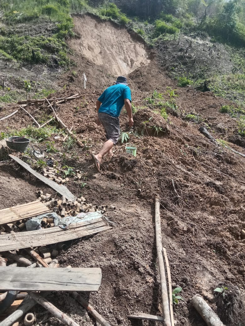Bencana Longsor di Kabupaten Lebong, Pondok Kopi dan Sawah Terdampak
