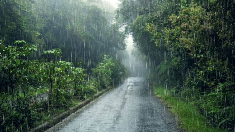 Sering Disebut Sebagai Suatu Keberkahan, Ini Manfaat dan Mitos Mengenai Air Hujan