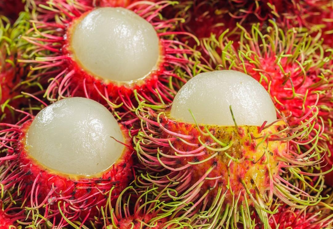 10 Manfaat Buah Rambutan untuk Kesehatan: Lebih dari Sekadar Cemilan