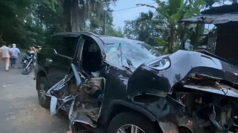 Hujan Deras Picu Pohon Tumbang di Liku Sembilan, Mobil Dosen Rusak Parah