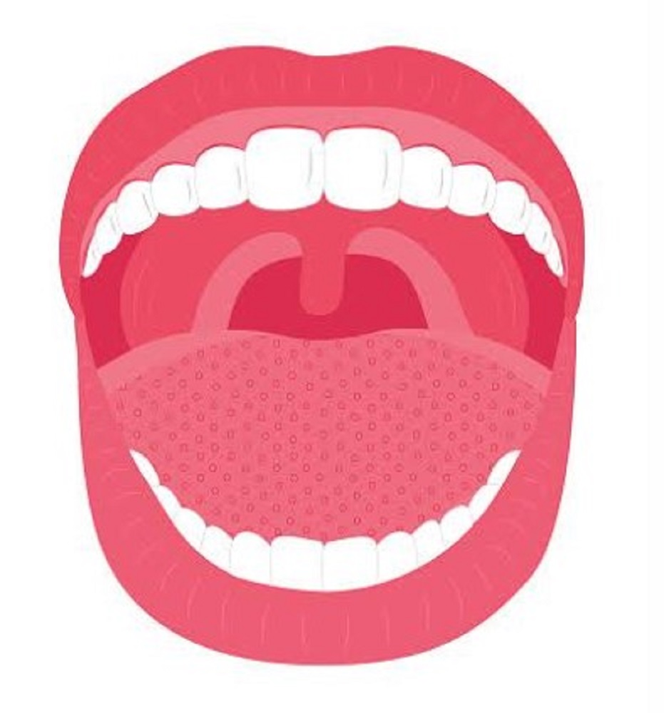 Kuman Penyebab Sakit Gigi dan Gusi Bisa Sebabkan Infeksi Mulut, Sikat Gigi Teratur dan Gunakan Mouthwash