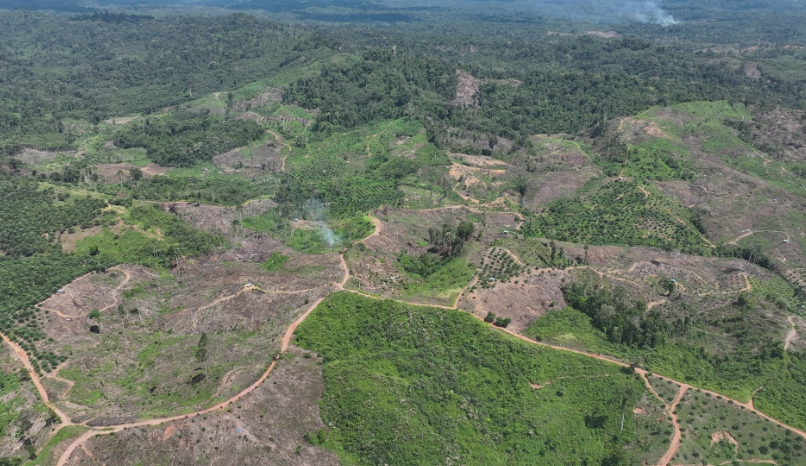 Percepatan Perumahan Bengkulu Dikebut, Pemprov Bawa Empat Program Strategis ke Pusat