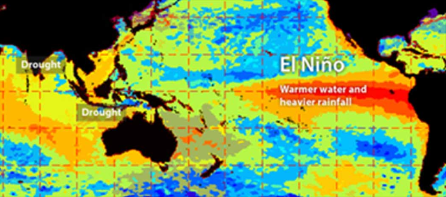 Dampak El Nino 32 Provinsi Di Indonesia Terancam Kekeringan Parah