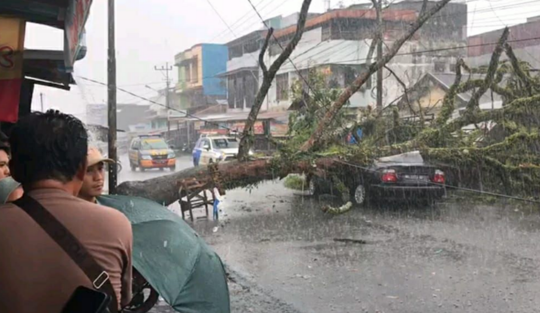 Pohon Akasia Tumbang di Pasar Atas Curup, Timpa Mobil hingga Ringsek