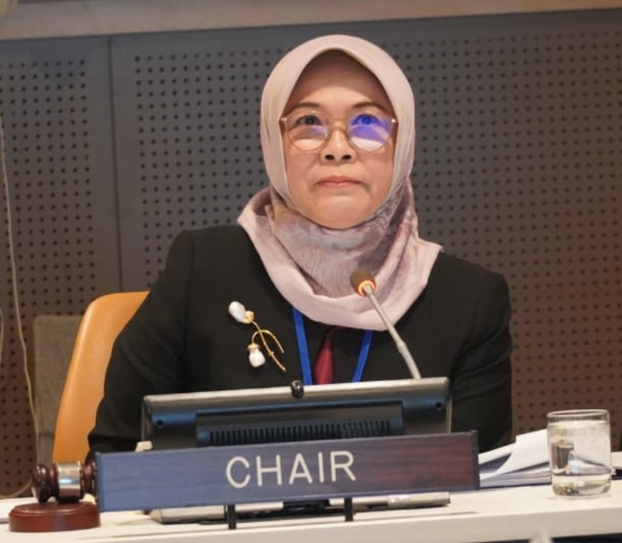Ketua BPK RI Pimpin Panel Eksternal Auditor PBB dan Temui Sekjen PBB