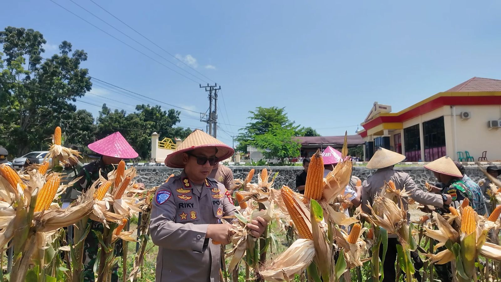 Polres Mukomuko Gelar Panen Raya Jagung Serentak Kuartal III, Dukung Ketahanan Pangan Nasional