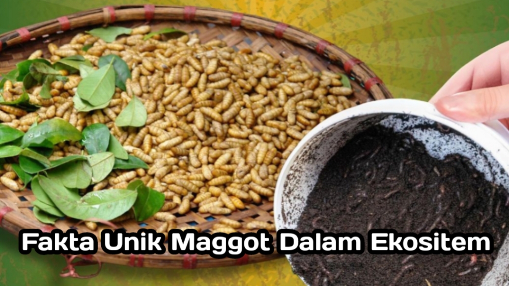 6 Fakta Unik Maggot yang Berperan Penting dalam Ekosistem