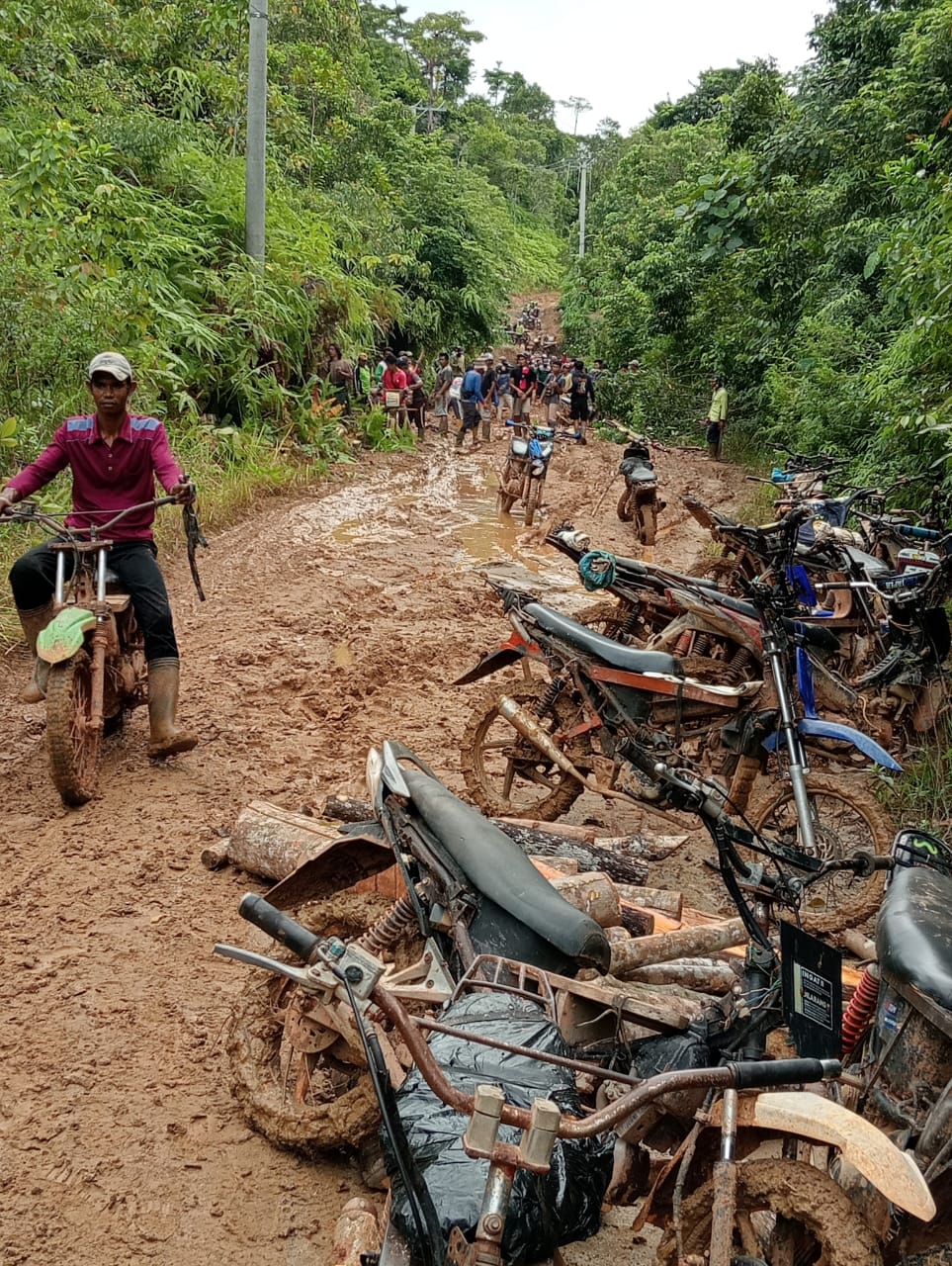 Jalan Desa Tanjung Aur Kaur Rusak Parah, Warga Bertaruh Nyawa Perbaiki Jalan Secara Mandiri