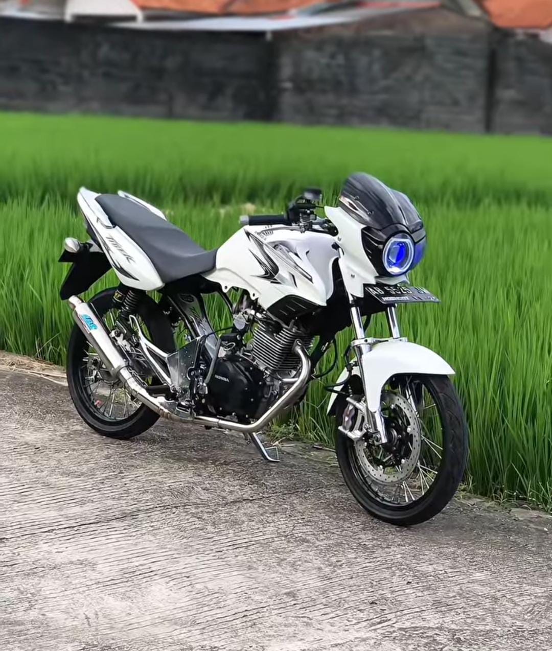 Motor Legendaris Hidup Lagi, Modifikasi Honda Tiger Jadi Idaman Anak Muda