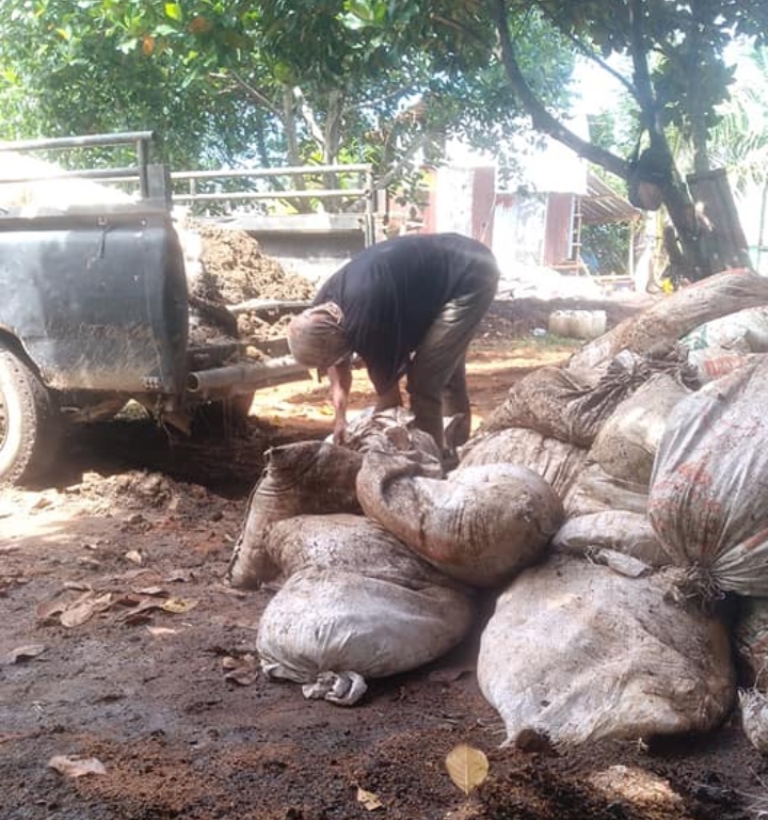 Petani Lebih Memilih Pupuk Organik, Ini Bahaya Penggunaan Pupuk Kimia Berlebihan