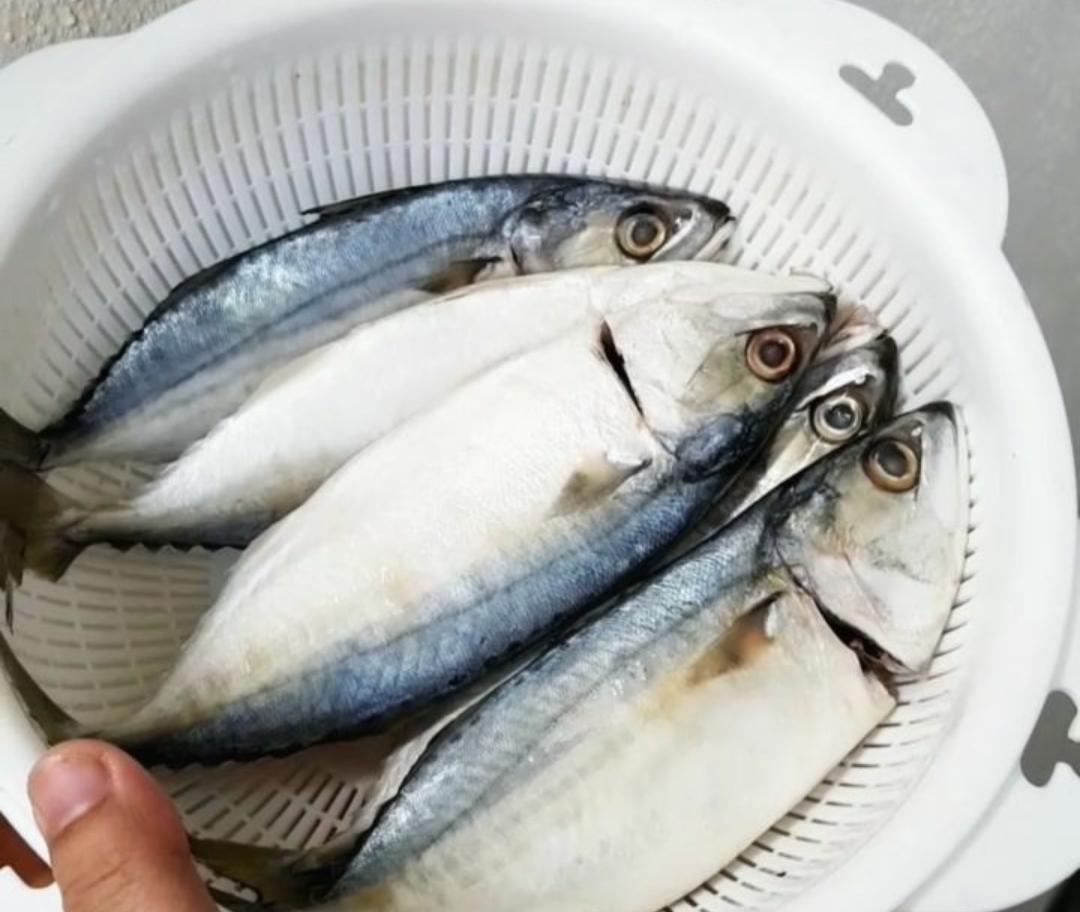 8 Keuntungan Mengonsumsi Ikan Kembung, Kaya Omega-3 hingga Baik untuk Kesehatan Tulang